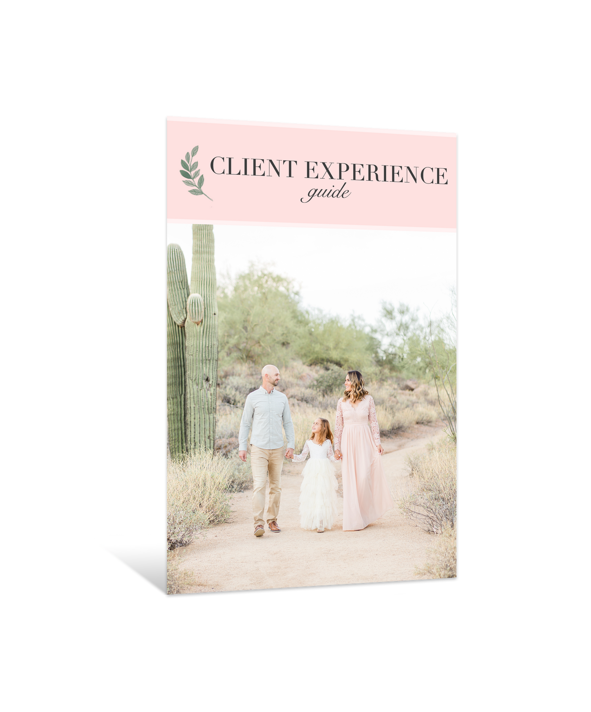 Client Experience Guide